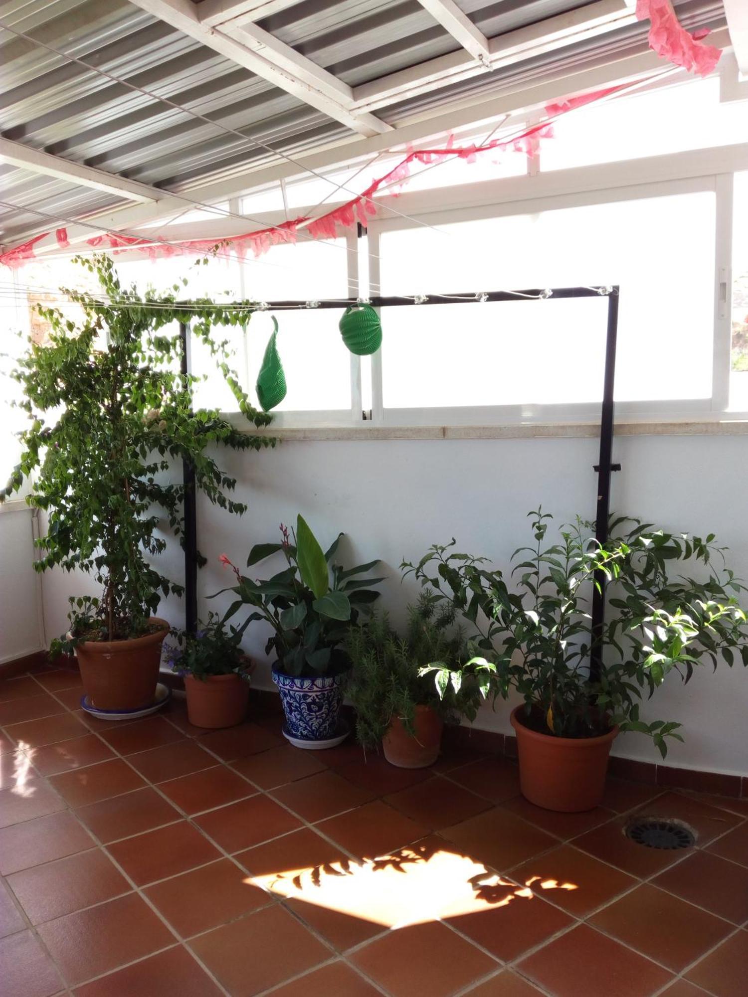 Hostal Rural Montual Los Baños المظهر الخارجي الصورة